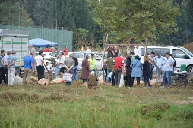 Bursa’Da Sokakta Kurban Kesme Manzarası Değişmedi ,50 Kişi Kurban Keserken Yaralandı
