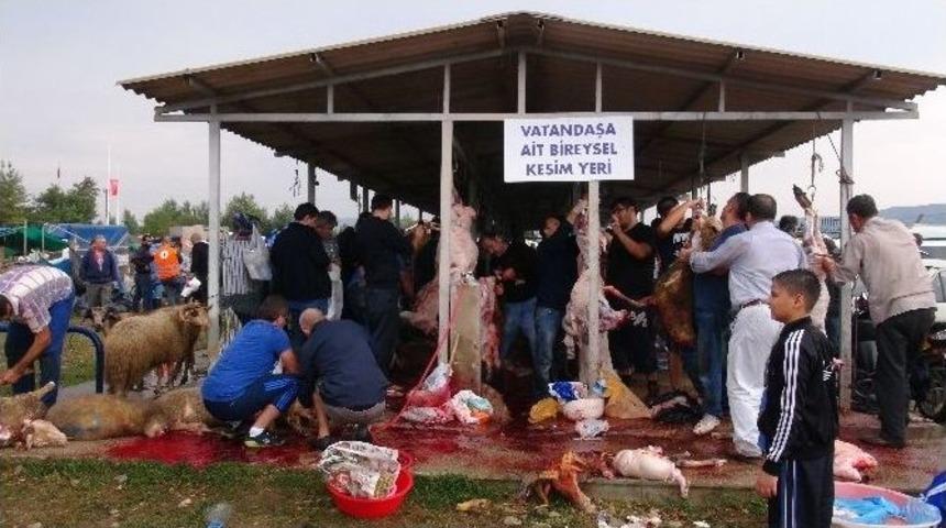 Yağmur Altında Kurban Kestiler