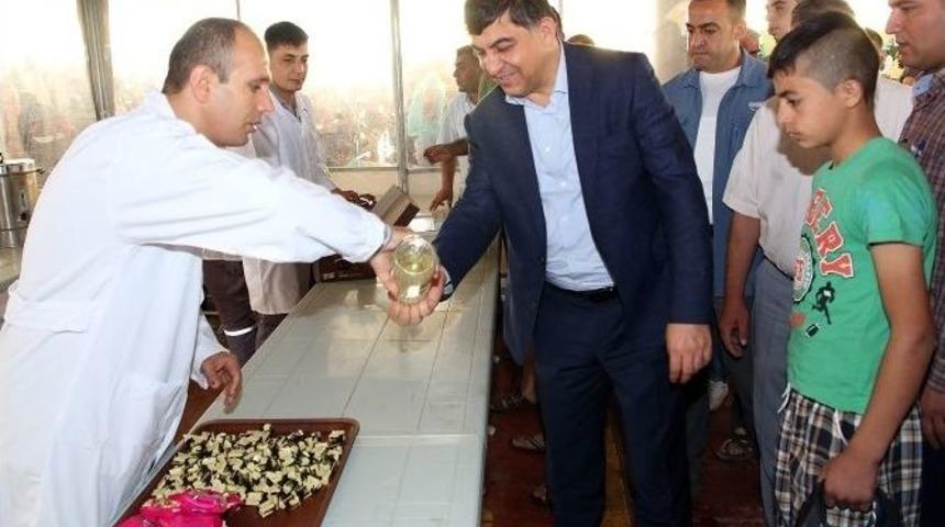 Şehitkamil İl&ccedil;e Belediye Başkanı Rıdvan Fadıloğlu Kurban Kesim Yerlerini Gezdi