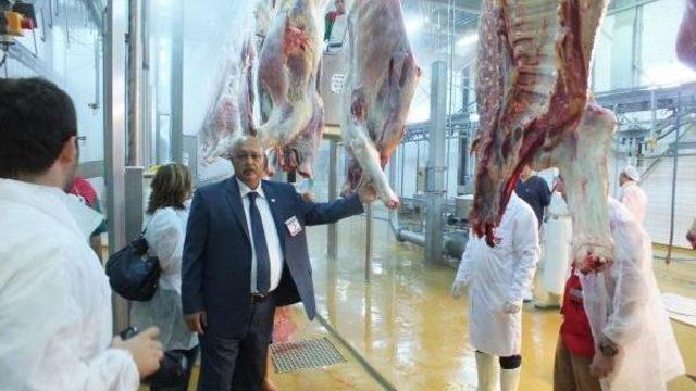 Türk Kızılayı: Yurt Içinde 4 Kombinada, Yurt Dışında 17 Ülkede Kurban Kesimi Yapıyoruz