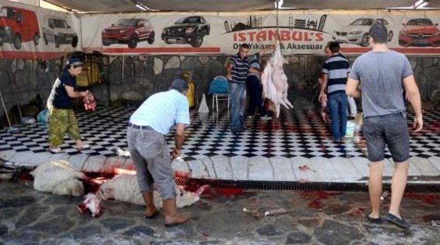 K&uuml;&ccedil;&uuml;k Kasap Iş Başında