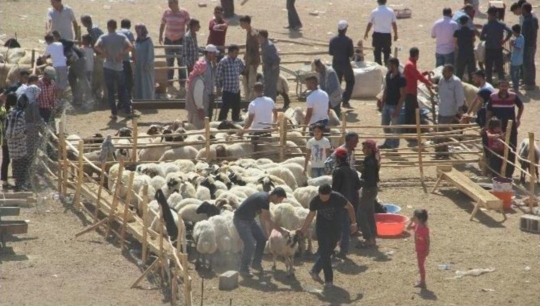Bayramın İlk G&uuml;n&uuml; Kurbanlık Alanlar Karlı &Ccedil;ıktı