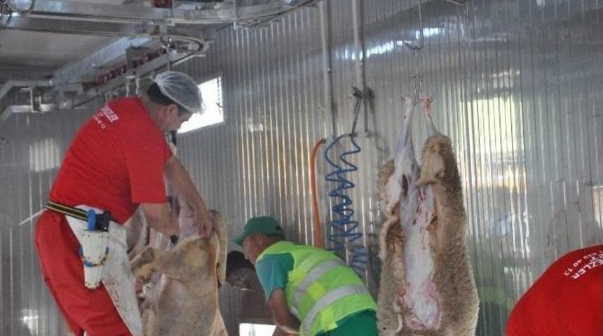 Mobil Kesim &Uuml;nitelerine Tam Not