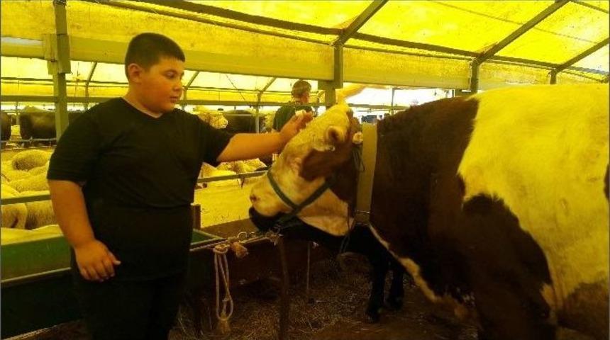 (&ouml;zel Haber) Kurban Pazarının En K&uuml;&ccedil;&uuml;k Patronu