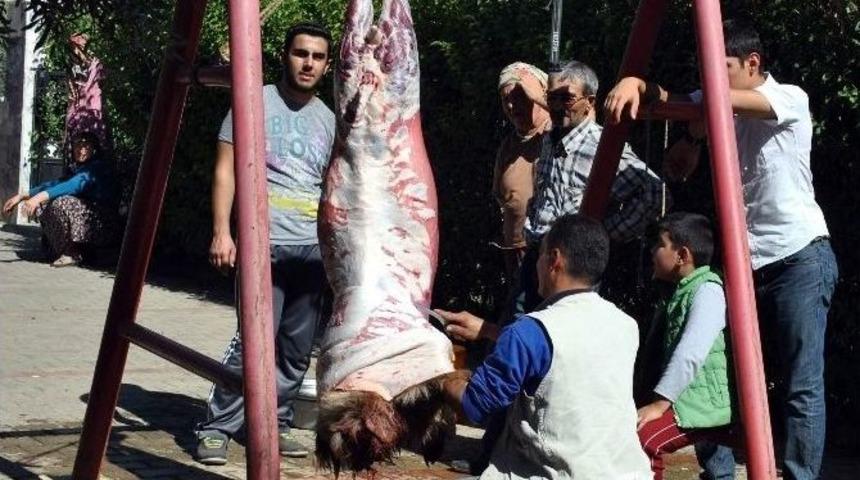 Aydın&rsquo;da Kurban Telaşı Devam Ediyor