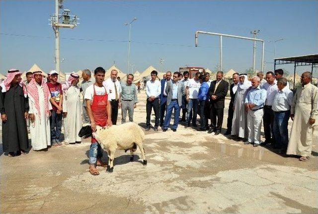 Kaymakam Fırat, Çadır Kentteki Mültecilerle Bayramlaştı