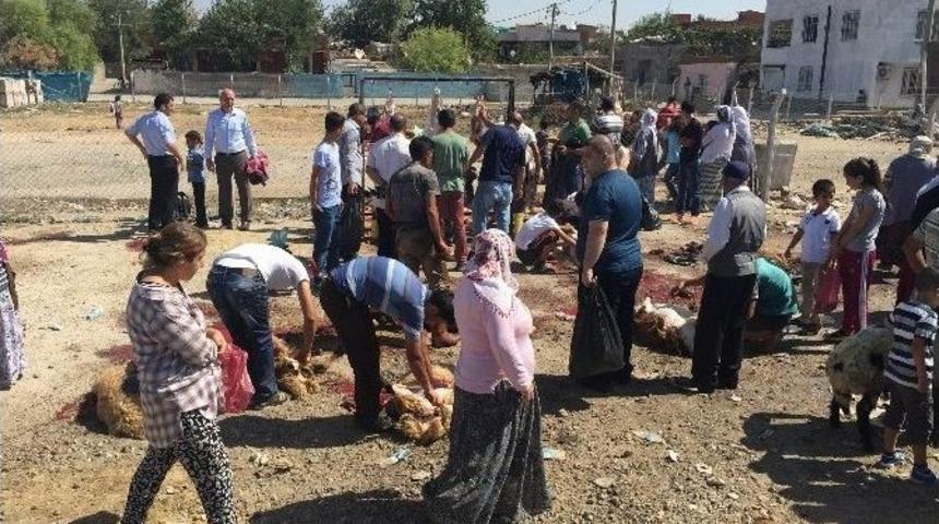 Kurbanlık Satışı Sokağa Taştı