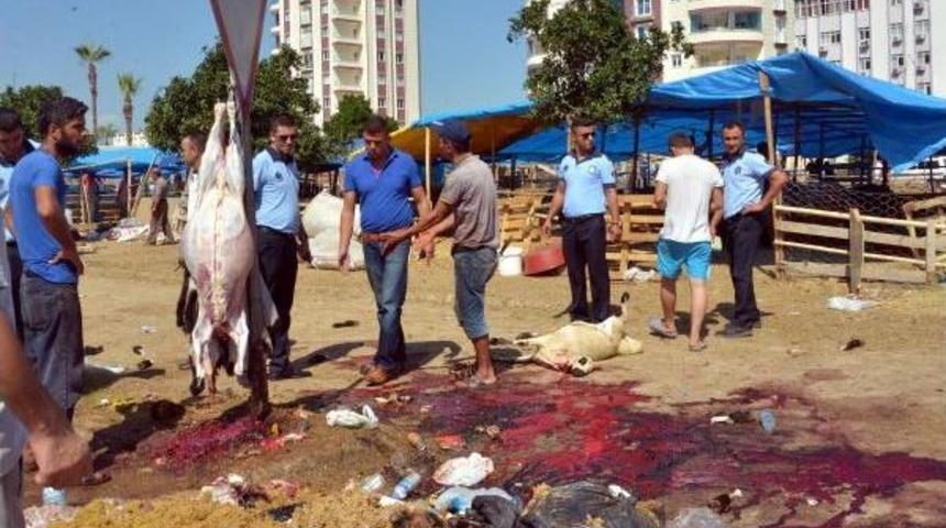 Zabıtaya Direnen Kasap: Amirinizin Kurbanını Da Kestim