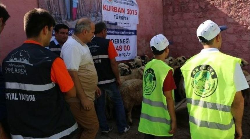 4 Bin Aile&rsquo;ye Kurban Yardımı