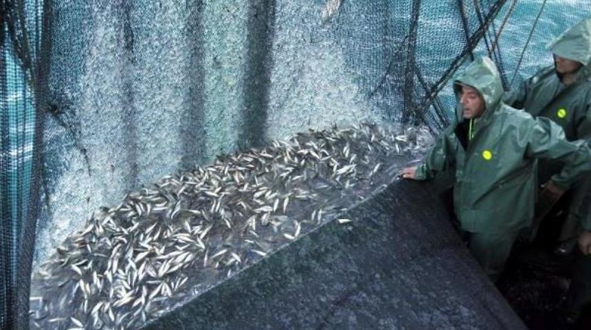 Kirlilik Ve Aşırı Avcılık Karadeniz'de Balık Neslini T&uuml;ketiyor