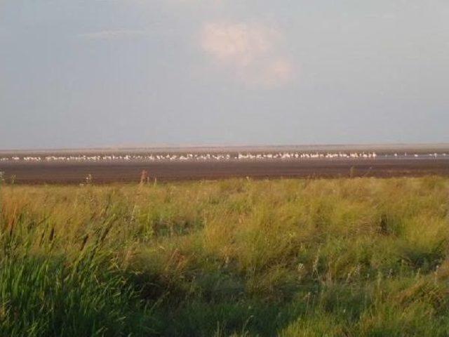 Seyfe Gölü toz Gölü Oldu 3