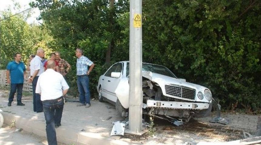 Yola &Ccedil;ıkan K&ouml;pek Kazaya Neden Oldu: 3 Yaralı