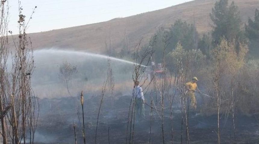 Siirt&rsquo;te Mesire Alanında Yangın