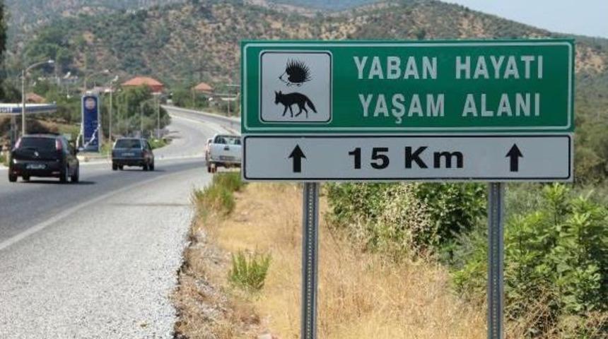 Yaban Hayvanları I&ccedil;in Ge&ccedil;iş Koridoru Isteği