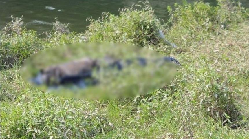 Kaybolan Adamın Cesedi Melet Irmağında Bulundu