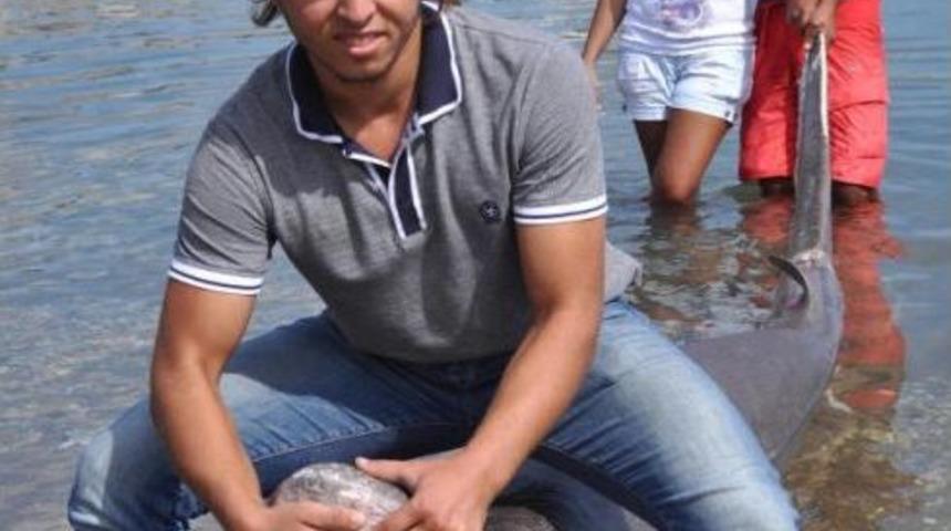 Dat&ccedil;a'da &Ouml;l&uuml; K&ouml;pekbalığı Sahile Vurdu