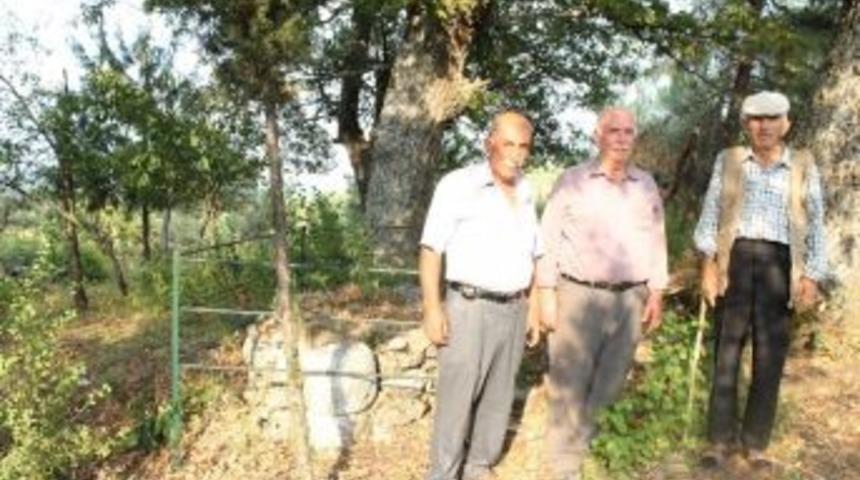 Osmanlı Şehitlerinin Bedenleri İlk G&uuml;nk&uuml; Gibi Duruyor