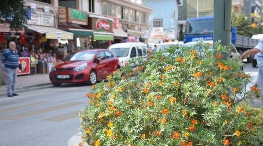 Orta Ref&uuml;jde B&uuml;y&uuml;yen &Ccedil;i&ccedil;ekler S&uuml;r&uuml;c&uuml;lere Zor Anlar Yaşatıyor