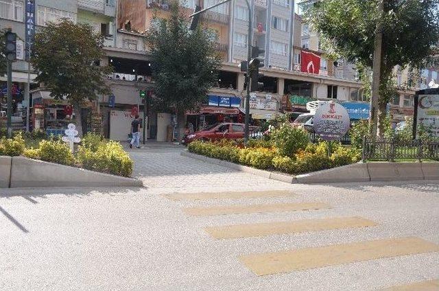 Orta Refüjde Büyüyen Çiçekler Sürücülere Zor Anlar Yaşatıyor