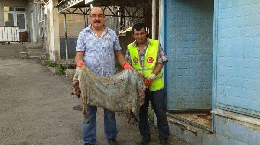 Hisarcık Thk Şubesi 5 Bin 100 Tl&rsquo;lik Deri Topladı