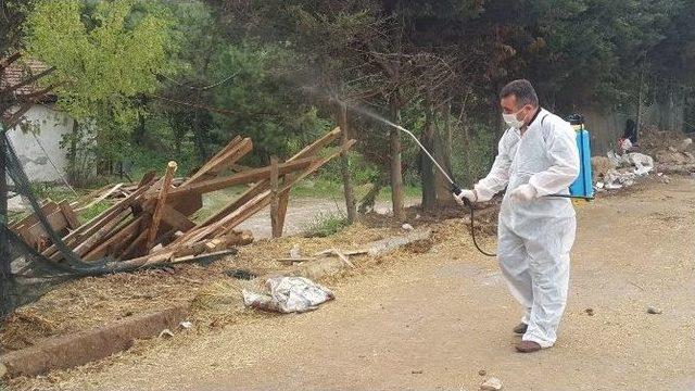 Kurban Satış Ve Kesim Yerleri İlaçlandı