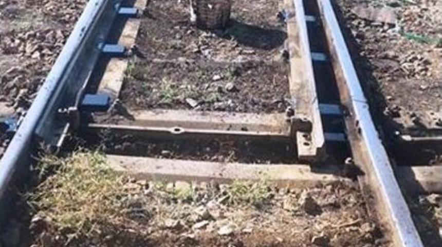 Tcdd&rsquo;de Raylarda Makas Temizliğine Başladı