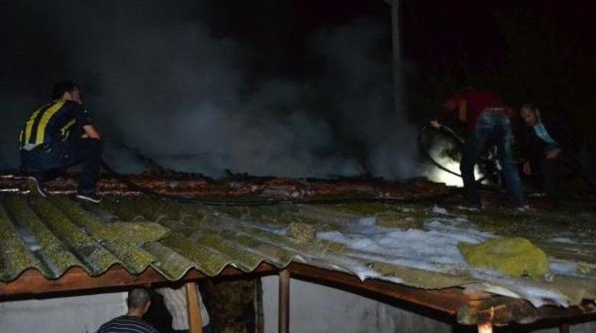 Yangında Yaralanan Inekleri Telef Olmaması I&ccedil;in Kestiler