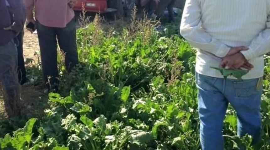 Elektriğin &Ccedil;arptığı Kamyon S&uuml;r&uuml;c&uuml;s&uuml; Hayatını Kaybetti