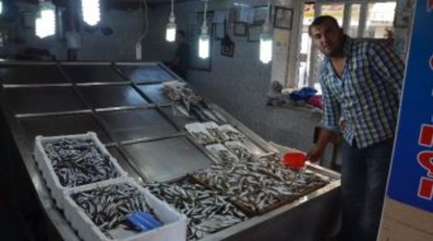 Kurban Eti Balık Satışlarını D&uuml;ş&uuml;rd&uuml;