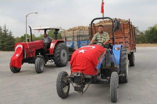 Çorum Şeker Fabrikası’nda Sezon Açılışı