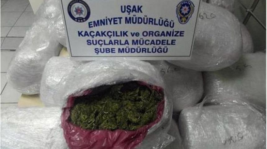 Uşak'ta 134 Kilo Esrar Yakalandı (2)