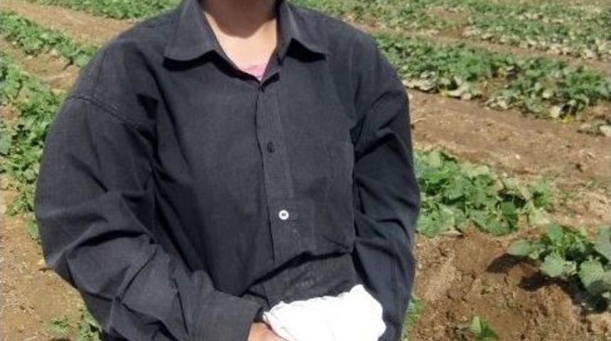 (&ouml;zel) Tarlada &Ccedil;alışan &Uuml;niversite Mezunu Kızın &rsquo;torpil&rsquo; İsyanı