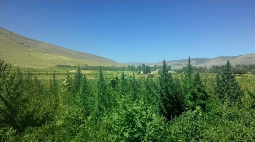 Jandarma Ka&ccedil;ak&ccedil;ılara G&ouml;z A&ccedil;tırmıyor