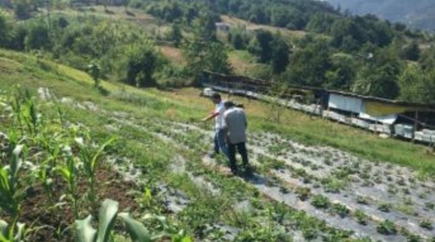 B&uuml;y&uuml;kşehir&rsquo;den &Ccedil;ift&ccedil;iye Alternatif &Uuml;r&uuml;n Desteği