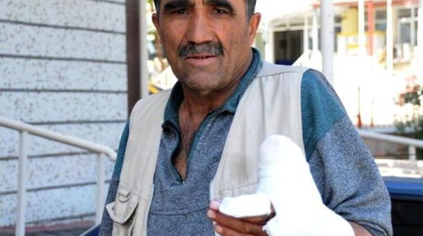 K&ouml;yde K&ouml;peğin Saldırısıyla Yaralandı, Şikayet&ccedil;i Oldu