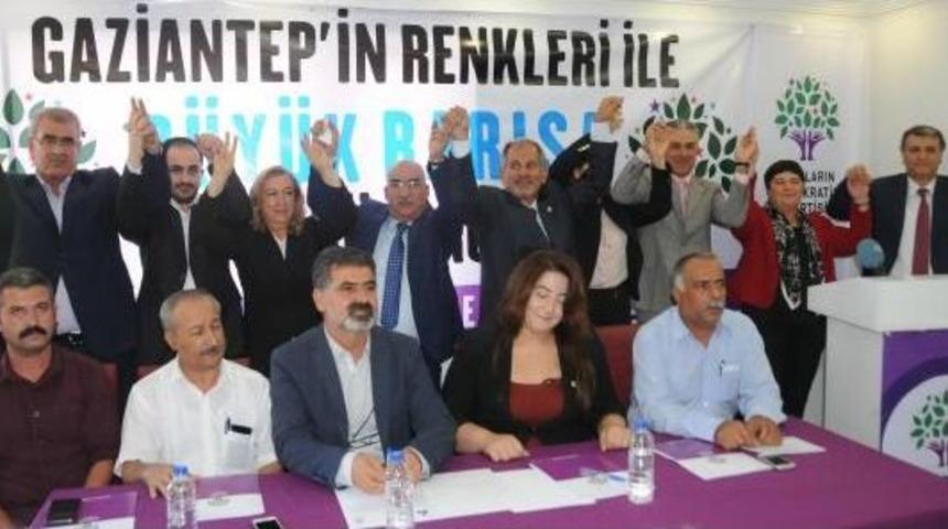 Hdp'li Toğrul: 1 Kasım'da Halk Iradesini Yine Meclise Taşıyacağız