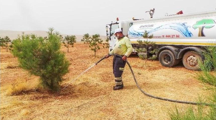 &rsquo;bi D&uuml;nya Yeşil&rsquo; Projesiyle Dikilen Fidanlar B&uuml;y&uuml;yor