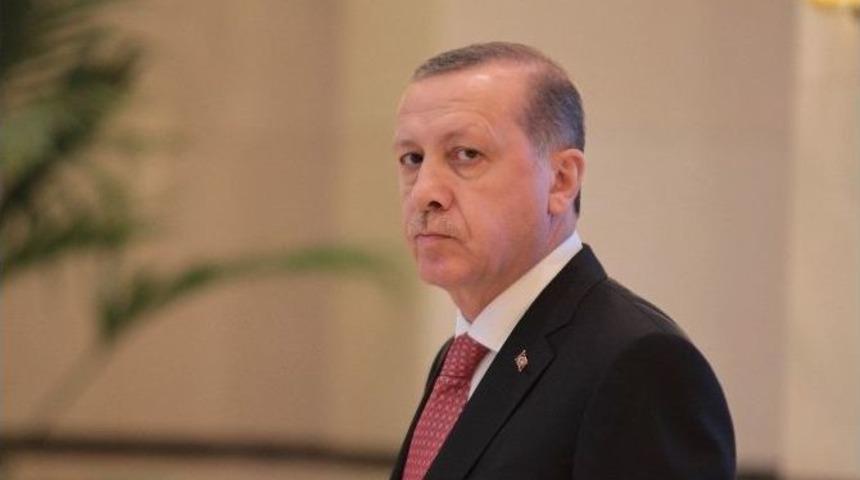 Cumhurbaşkanı Erdoğan Hollanda Büyükelçisini Kabul Etti