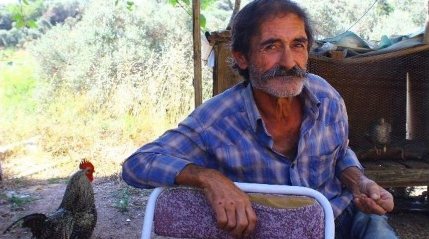 Robinson Eftal 35 Yıldır Dağda Tek Başına Yaşıyor