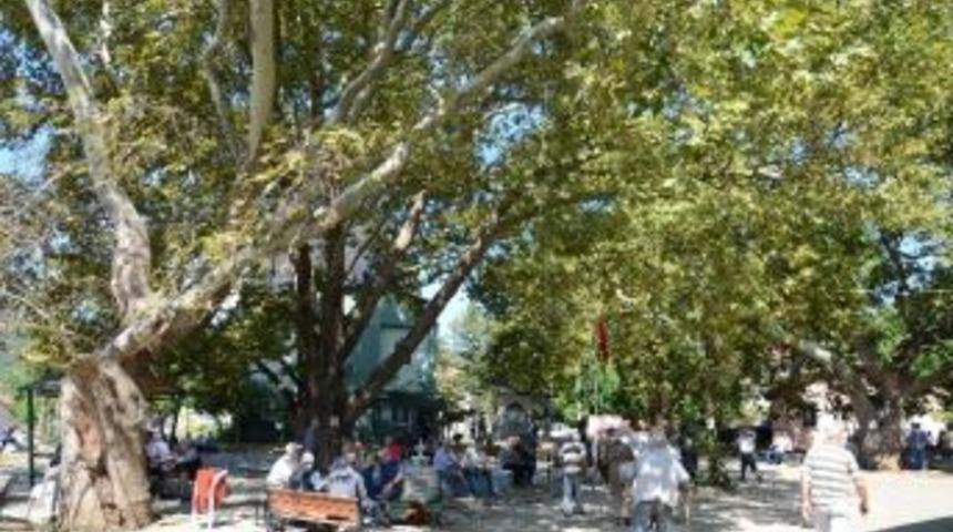 Gemlik Belediyesi’nden Mahalle Olan Köylere Meydan