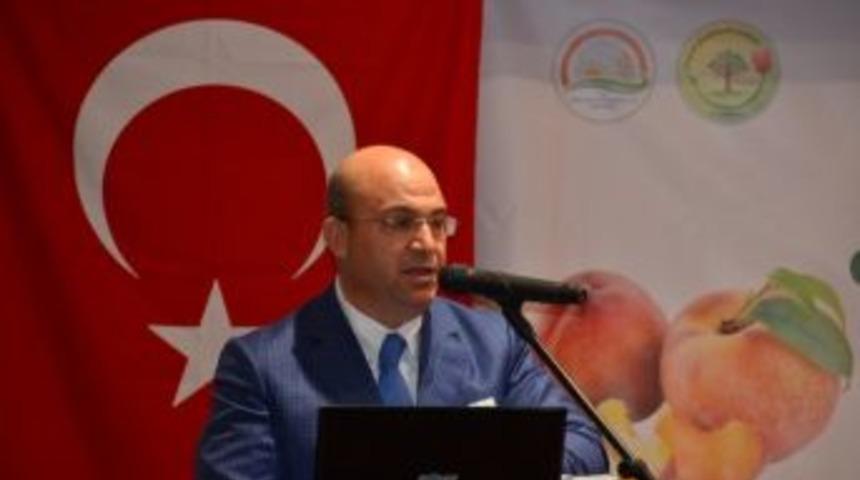 Fidancılar Meyve Ve Asmada Ar-ge Desteği İstiyor