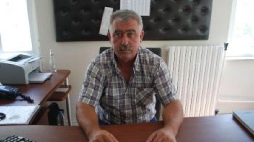 Ay&ccedil;i&ccedil;eği Alımlarına Yağmur R&ouml;tarı