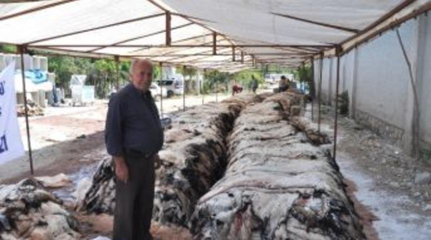 Thk, Korkuteli&rsquo;de Rekor Kırdı