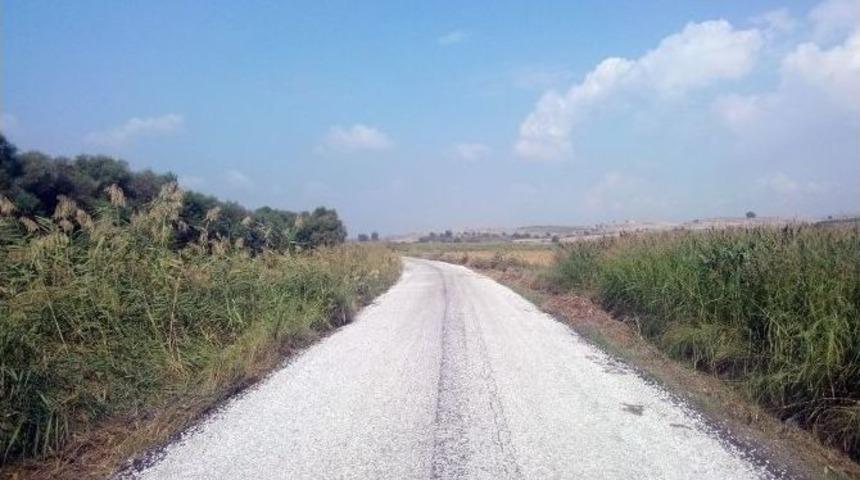 Musalaryenik&ouml;y&rsquo;de Asfalt Sevinci