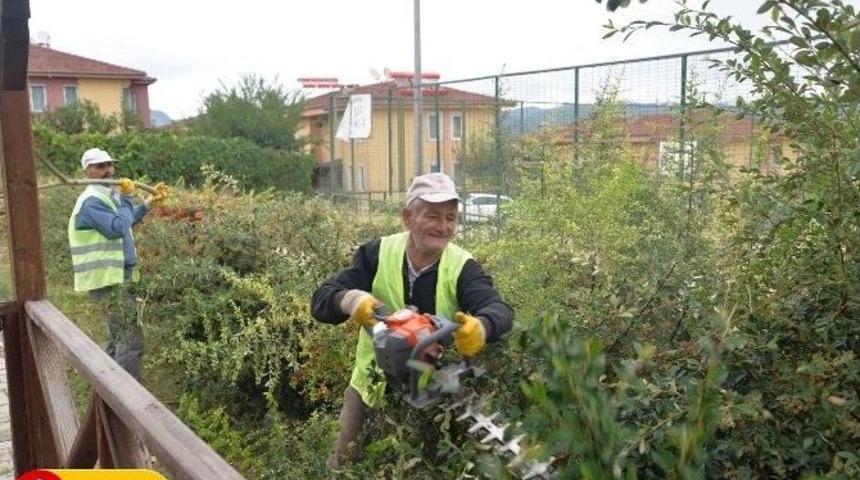 Bilecik Belediyesi&rsquo;nin &Ccedil;alışmaları Devam Ediyor