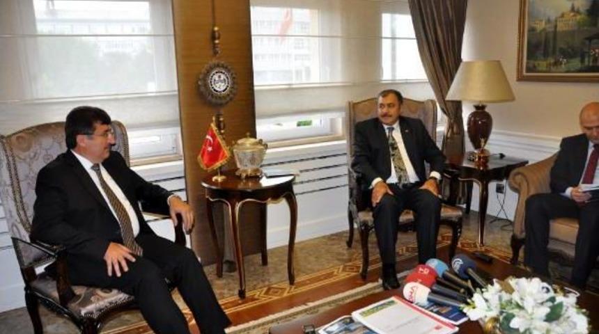 Bakan Eroğlu: Yeşil Yol I&ccedil;in Trabzon'da Sadece 13 Ağa&ccedil; Kesildi