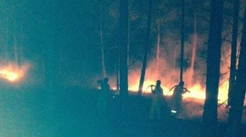 Seydikemer&rsquo;de 2 Hektar Ormanlık Alan Zarar G&ouml;rd&uuml;