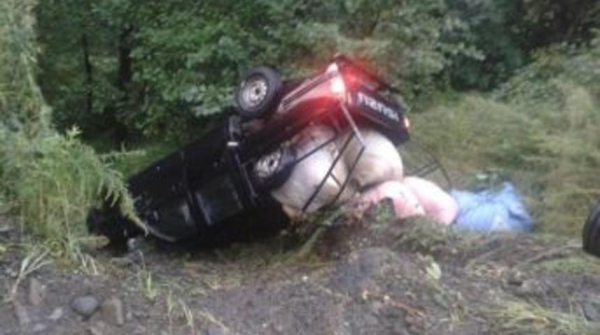 Rize&rsquo;de &Ccedil;ay Y&uuml;kl&uuml; Kamyonet Şarampole Yuvarlandı: 3 Yaralı