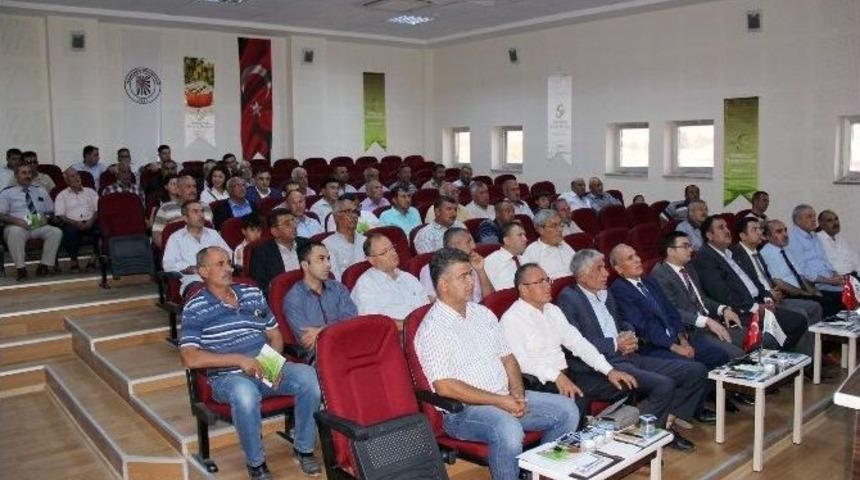 Gtb&rsquo;den Antepfıstığı &Uuml;reticilerine Bilin&ccedil;lendirme Eğitimi