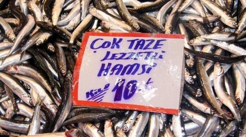 Balık Azaldı, Fiyatları Tavan Yaptı
